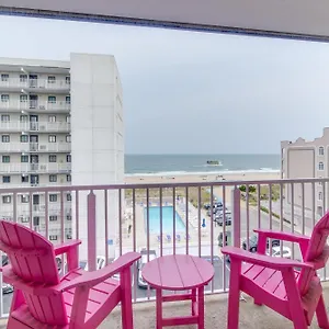 Flamingo Ocean City
